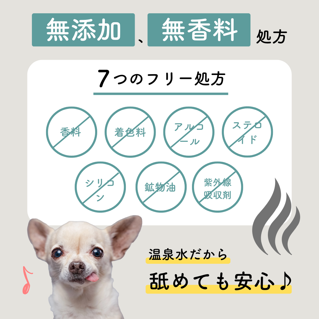 定期　-継続便-　CARESUI®　ローション詰め替え150mL　1セット /: 1袋