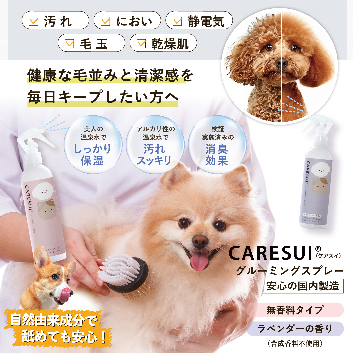 CARESUI®　グルーミングスプレー300mL /: 無香料1本