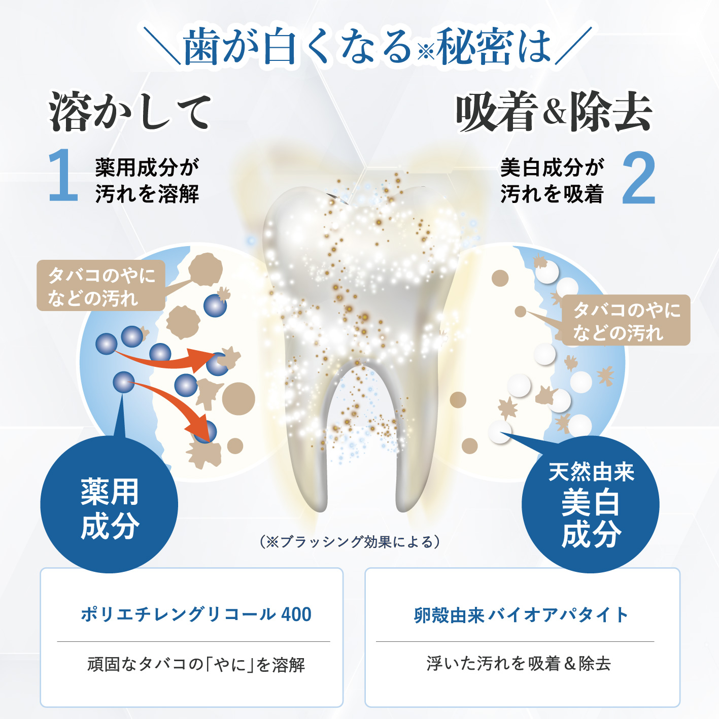 メディカルホワイトプロ　タッチペン /: 1本