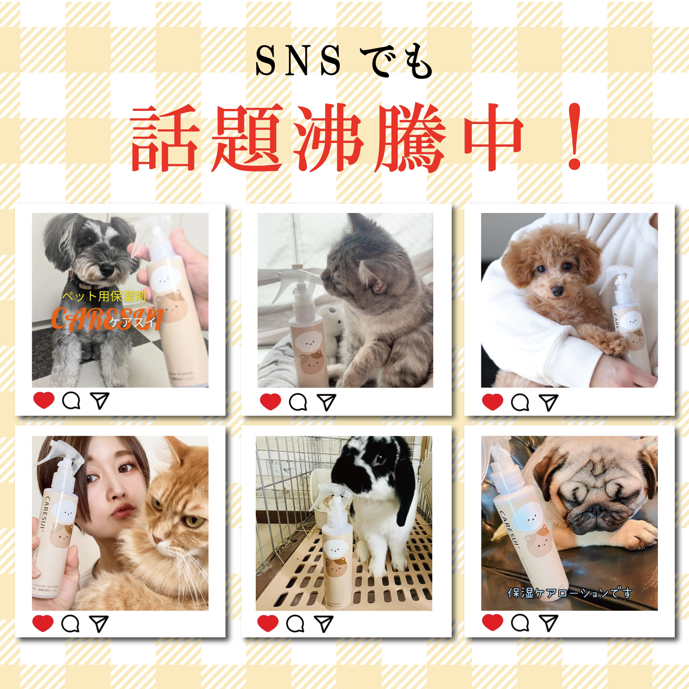 CARESUI®　ジェル30g /: 1本