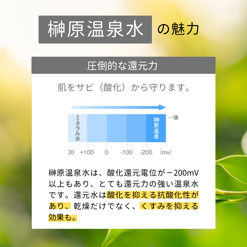 スパウォーター /: 1ケース（500mL×24本）