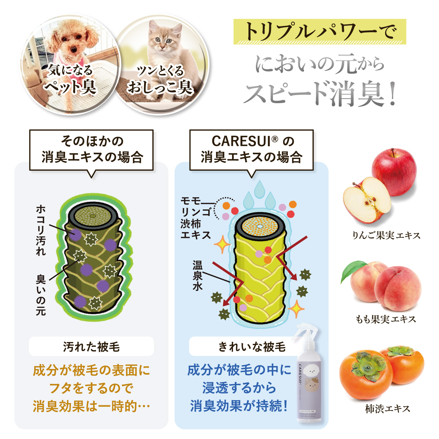 CARESUI®　グルーミングスプレー300mL /: 無香料1本