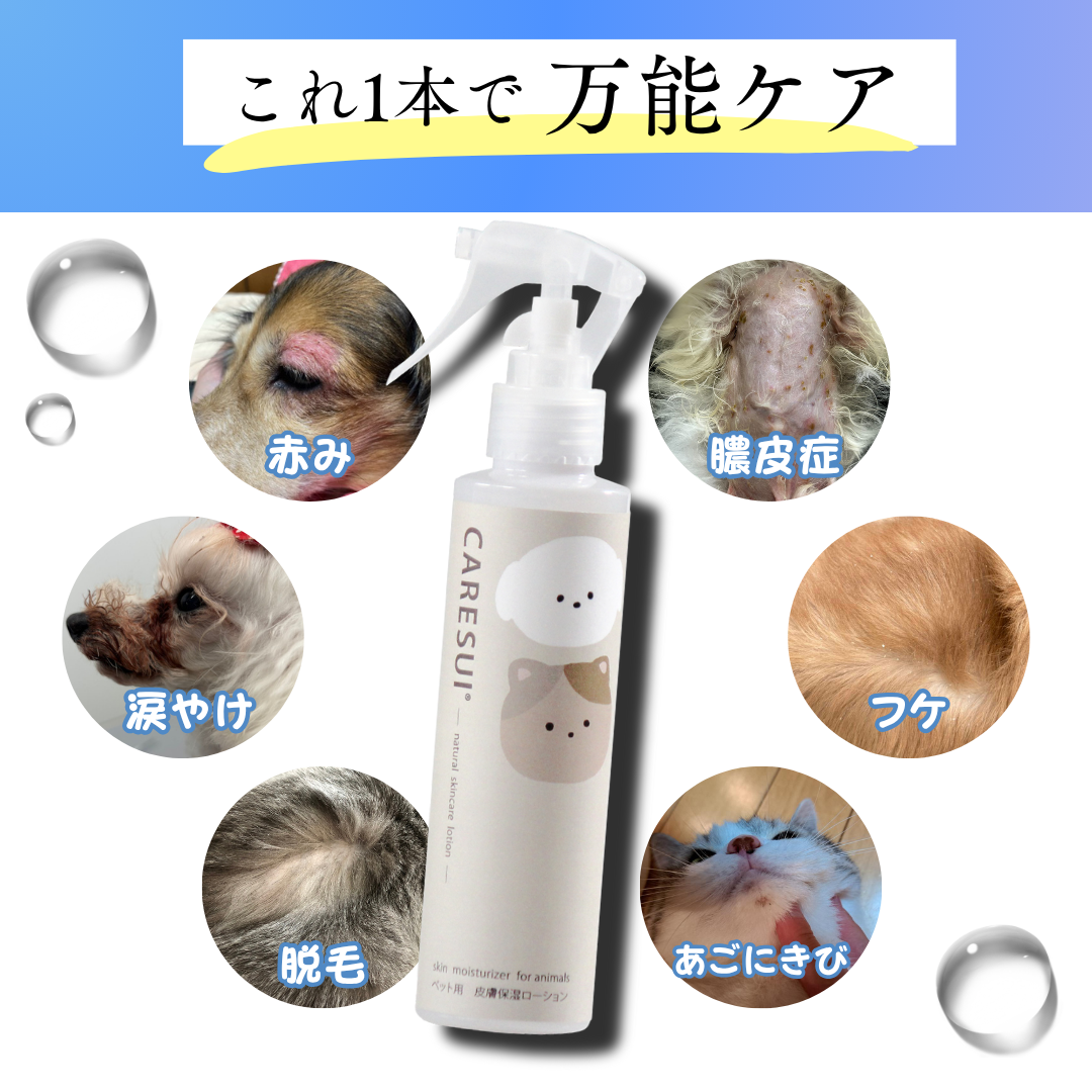 定期　CARESUI®　ローション詰め替え150mL　3セット /: 3袋