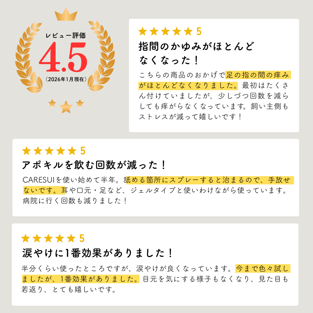 定期　-継続便-　CARESUI®　ローション詰め替え150mL　1セット /: 1袋
