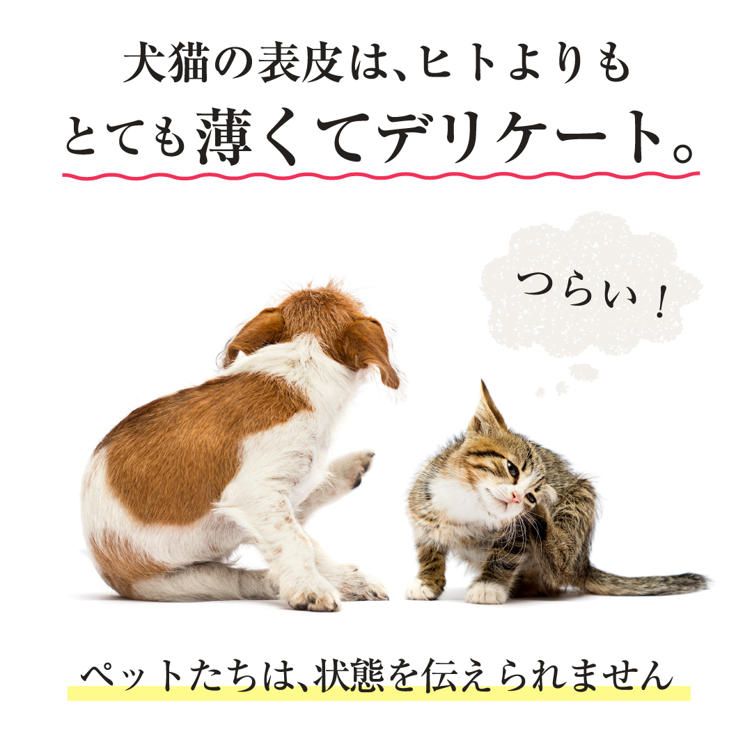 CARESUI®　ローション　詰め替え150mL /: 1袋