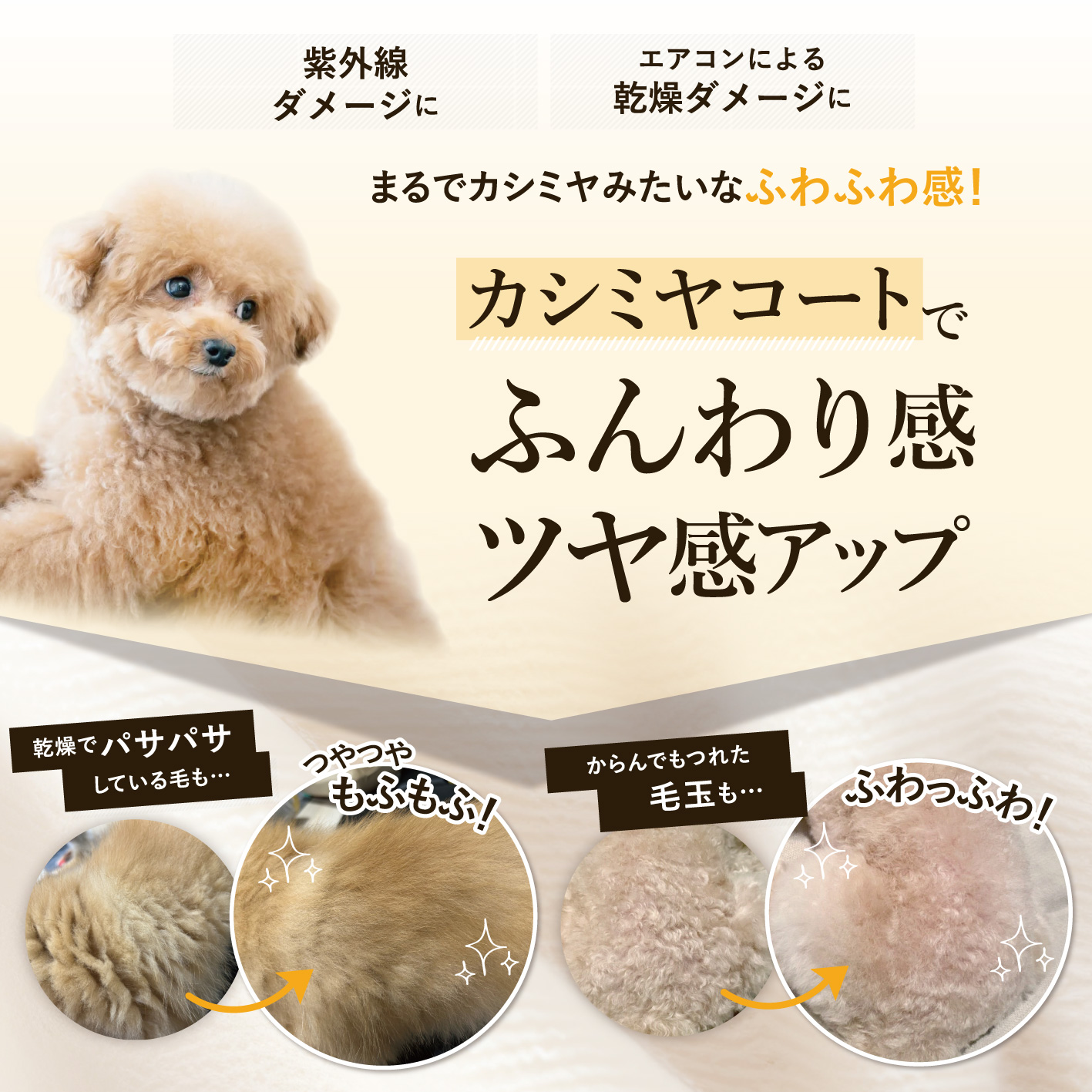 CARESUI®　グルーミングスプレー300mL /: 無香料1本