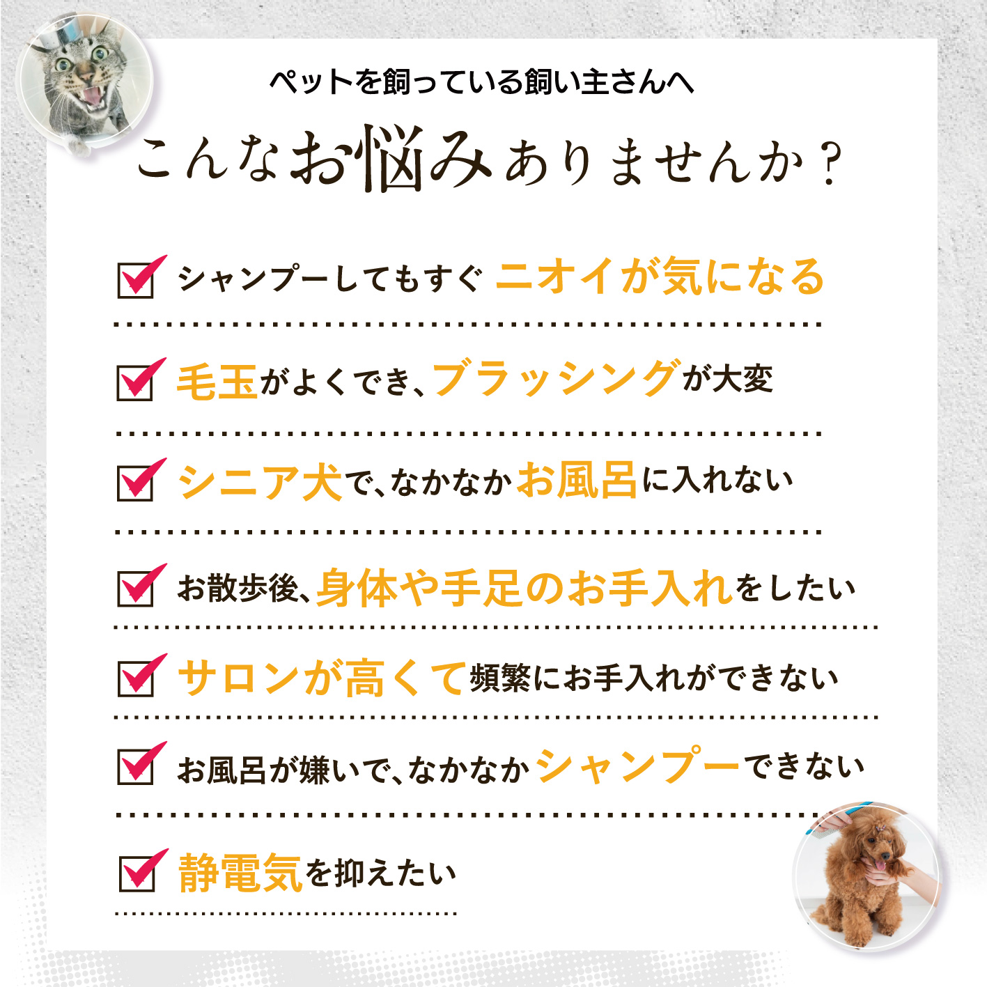 CARESUI®　グルーミングスプレー300mL /: 無香料1本