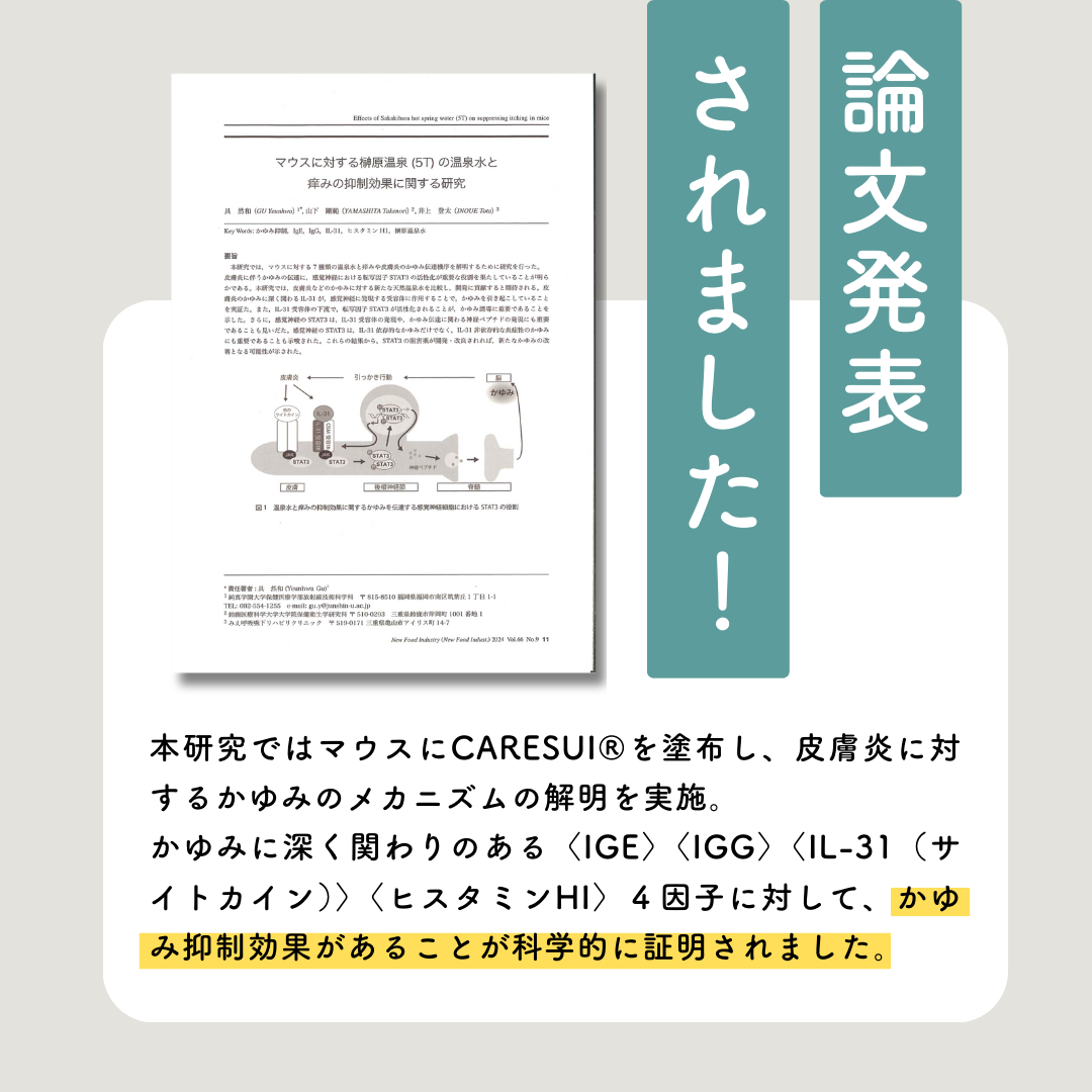 定期　-継続便-　CARESUI®　ローション詰め替え150mL　1セット /: 1袋
