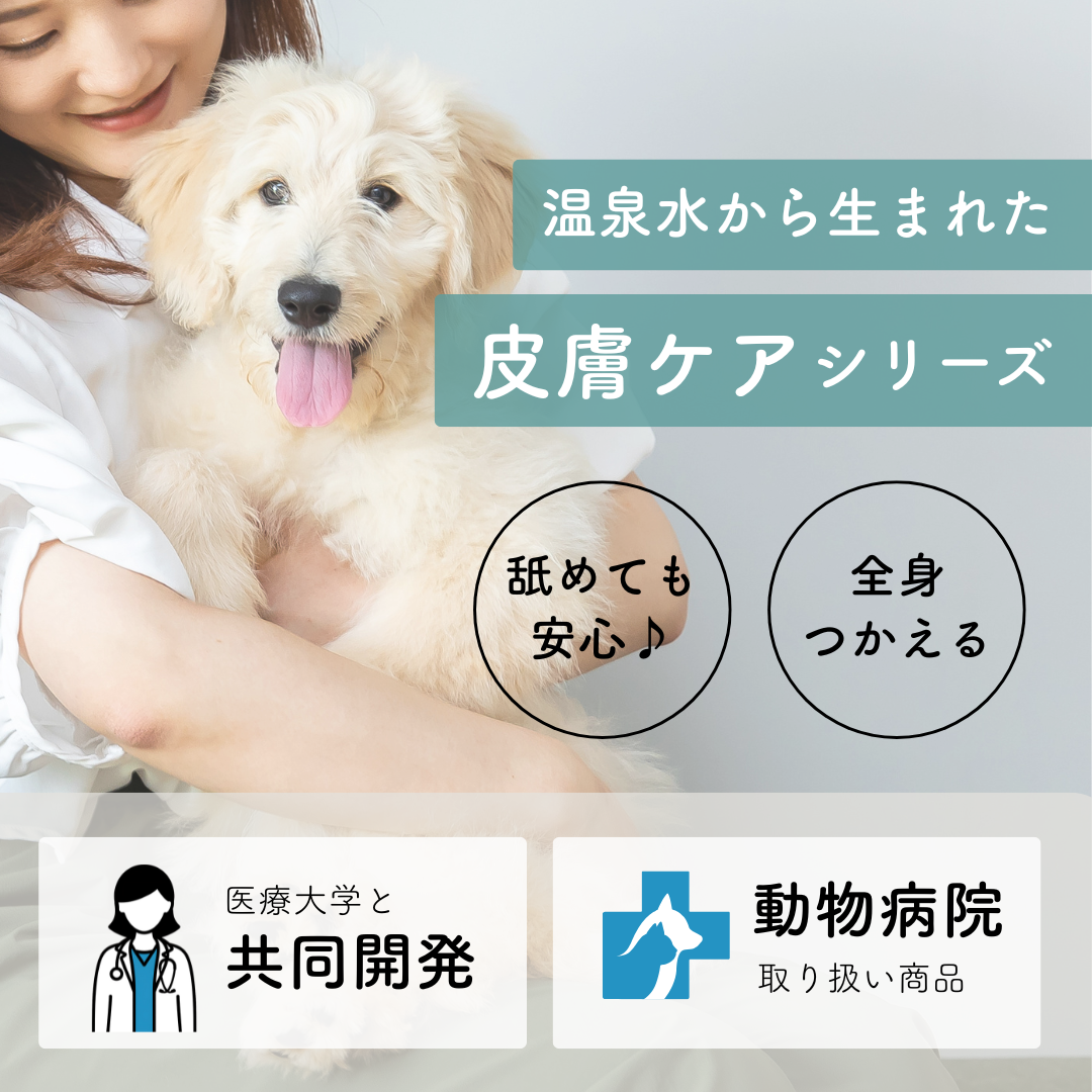 定期　-継続便-　CARESUI®　ローション詰め替え150mL　1セット /: 1袋