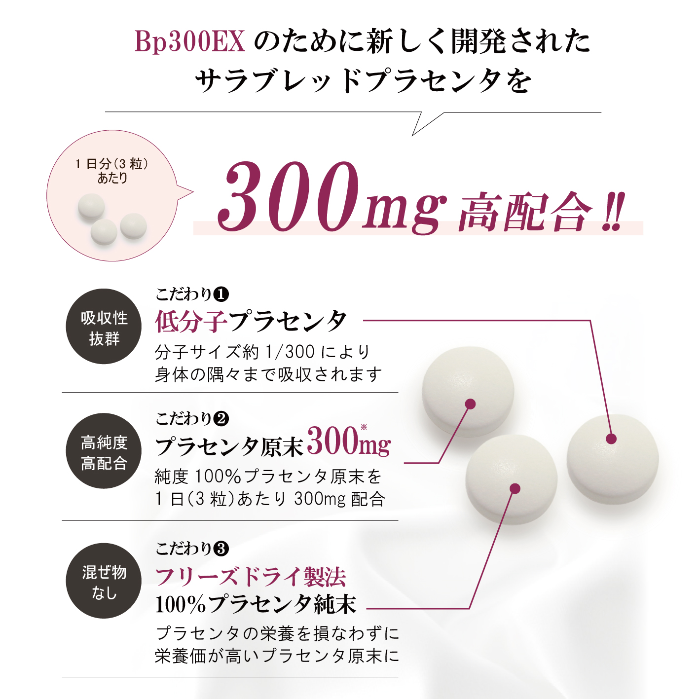 Bp300EX /: １箱
