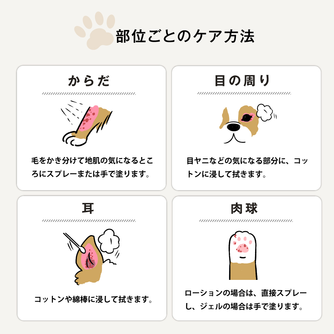 定期　CARESUI®　ローション150mL /: 1本