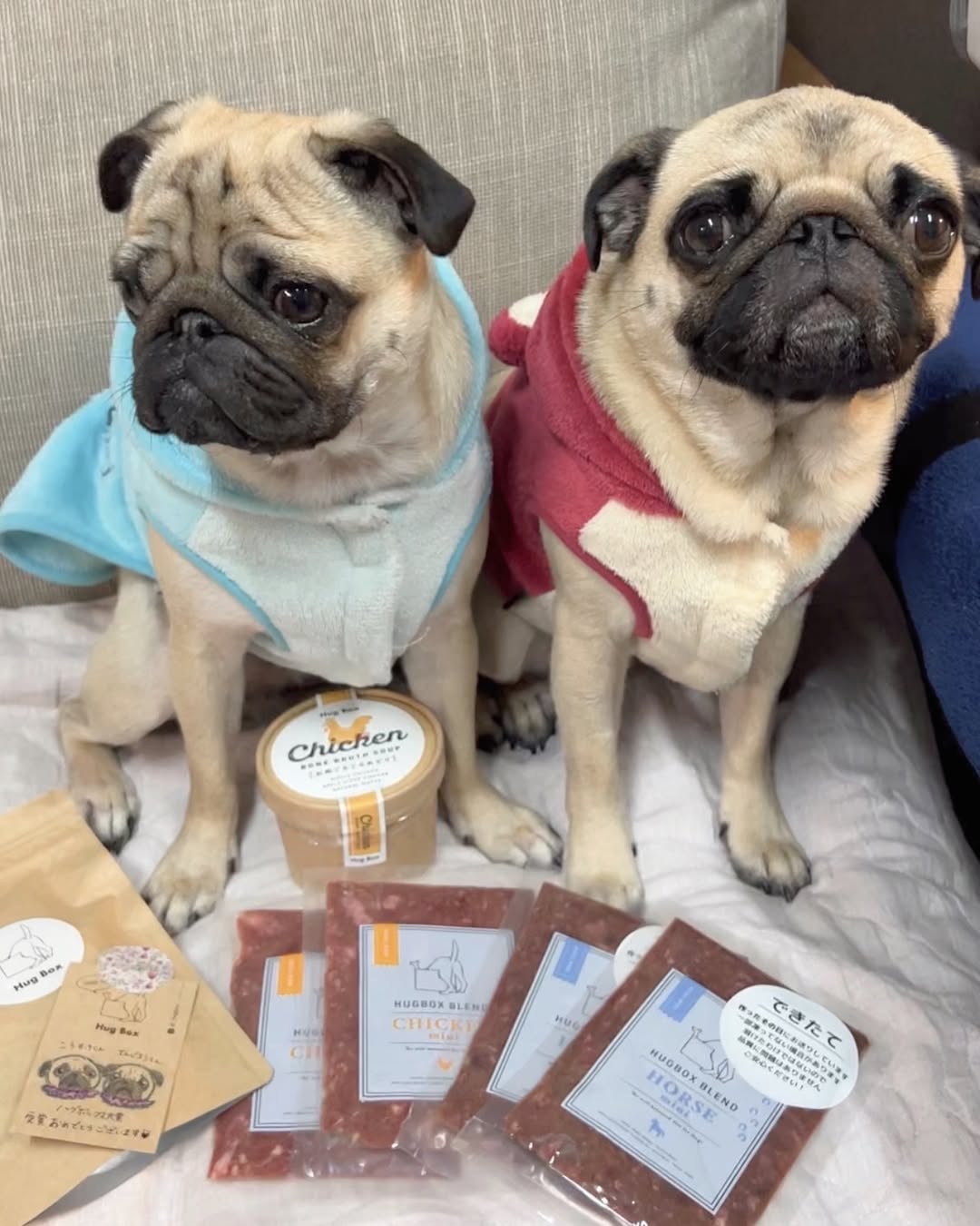 ころすけくん・でんじろうくん