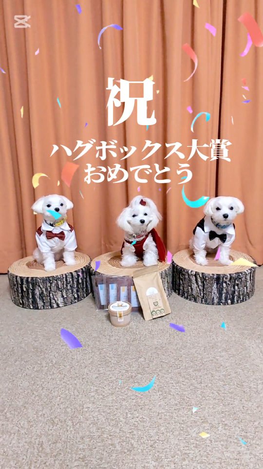 そら・うみ・はなちゃん