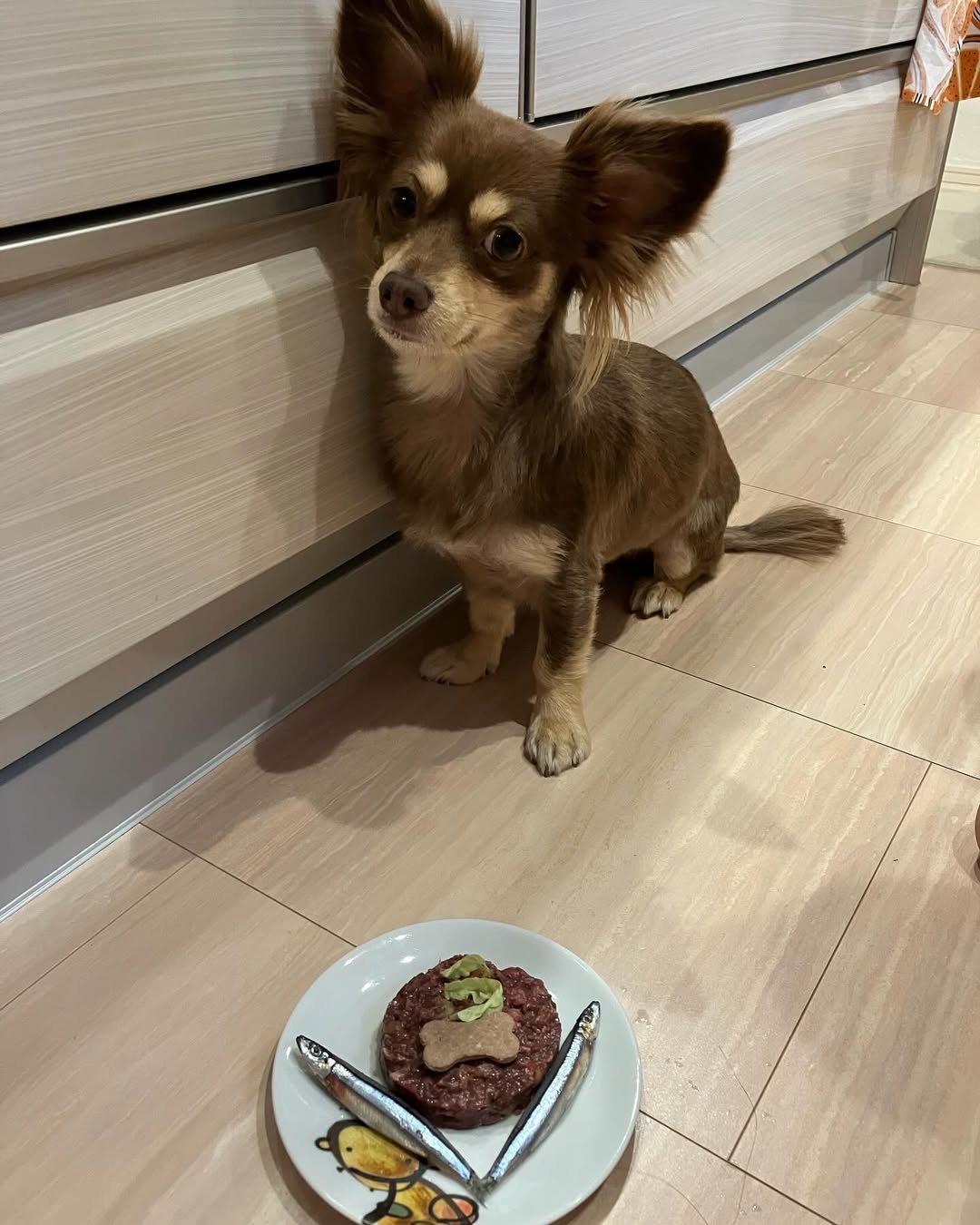 ルカちゃんの誕生日アレンジ