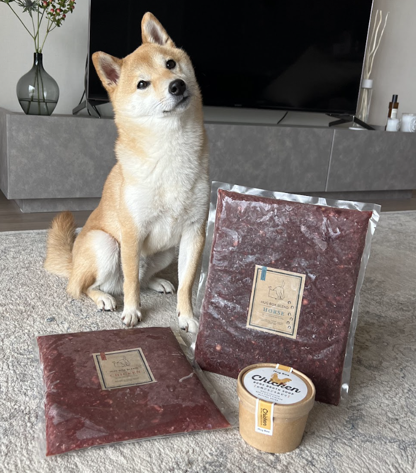豆柴サンタくんとHUGBOX