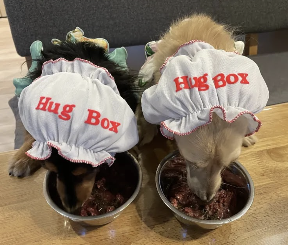 メルリルちゃん：可愛いスヌードで爆食い