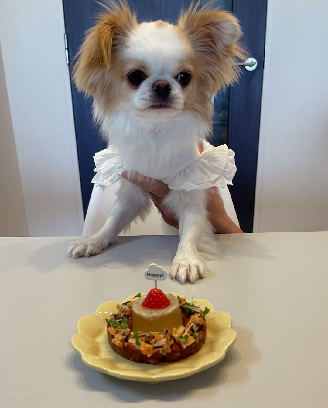 ぷうちゃんのお誕生日ケーキ