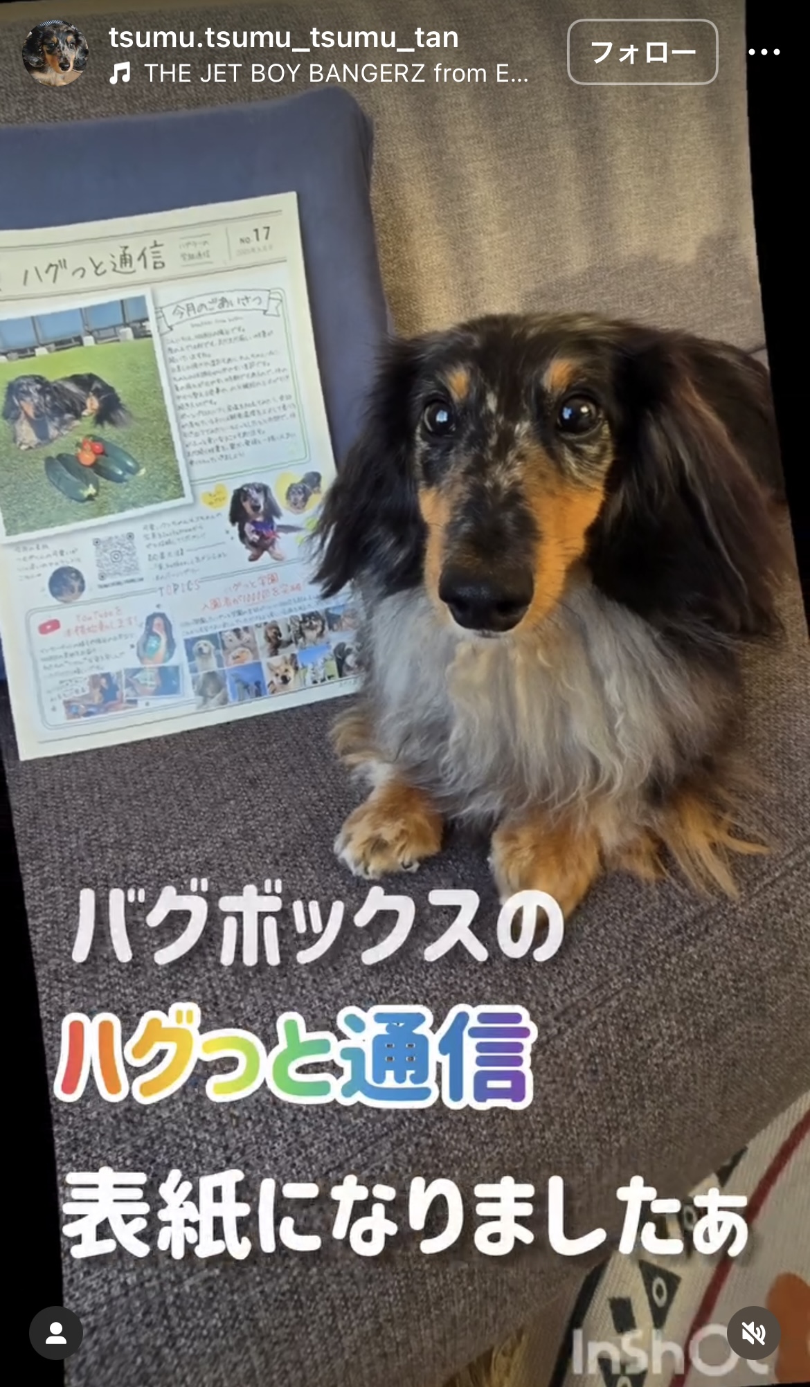 つむぎくんが表紙のハグっと通信