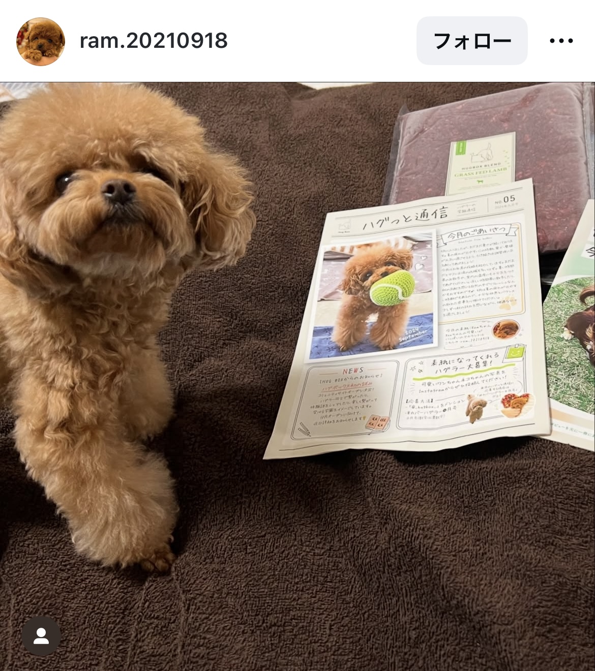らむちゃんが表紙のハグっと通信