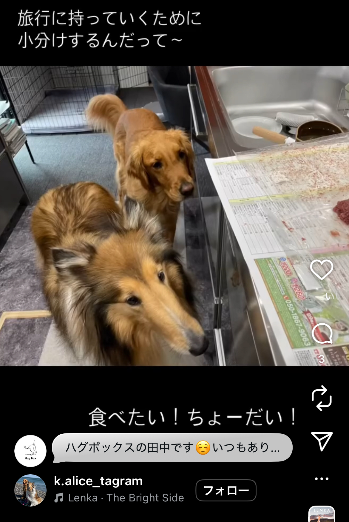 準備中から狙っている二頭