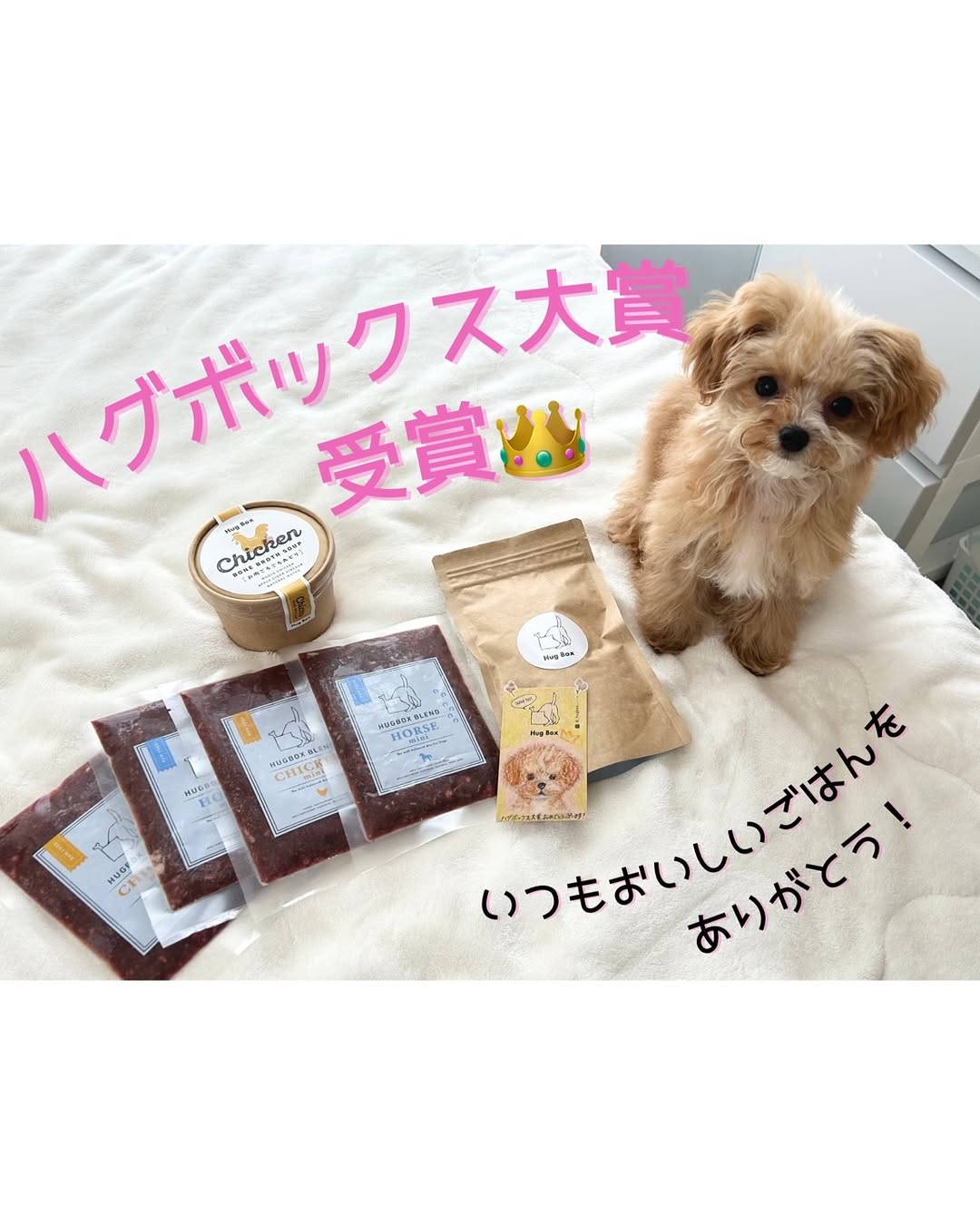 ハグボックス 大賞って知ってる？ みんなの投稿から生まれる、ハグラーのしあわせストーリー