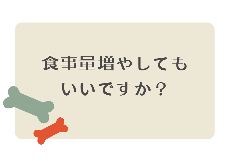 食事量は増やしてもいい？体型チェックで安心調整