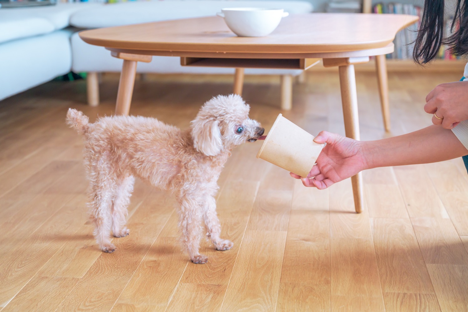 【定期便】丸どりボーンブロス