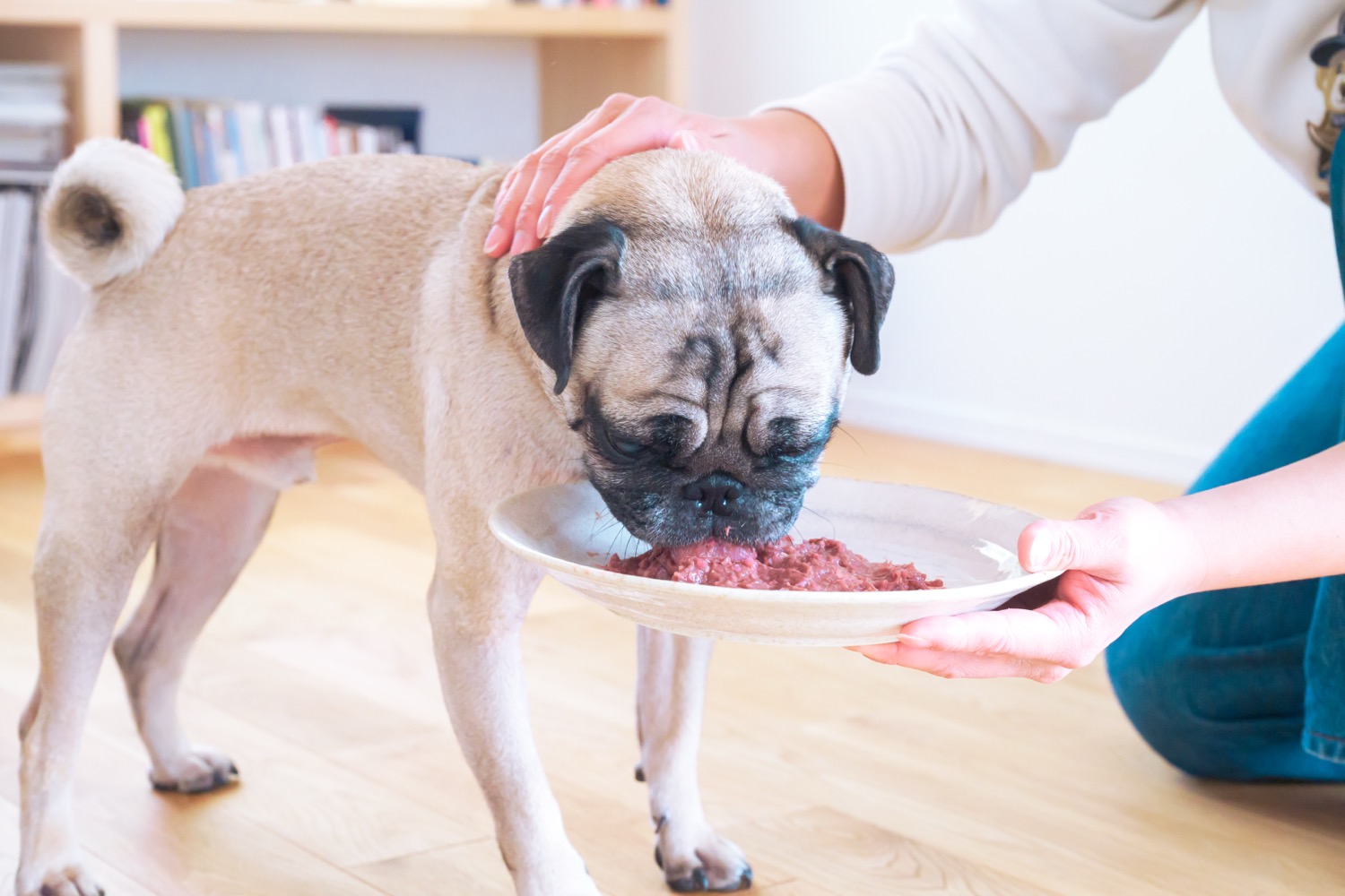 公式】HUGBOX（ハグボックス）｜手作り生食ドッグフード