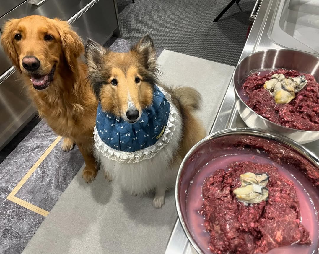 いつものごはんがワンランクアップ！目的別トッピングアイデ