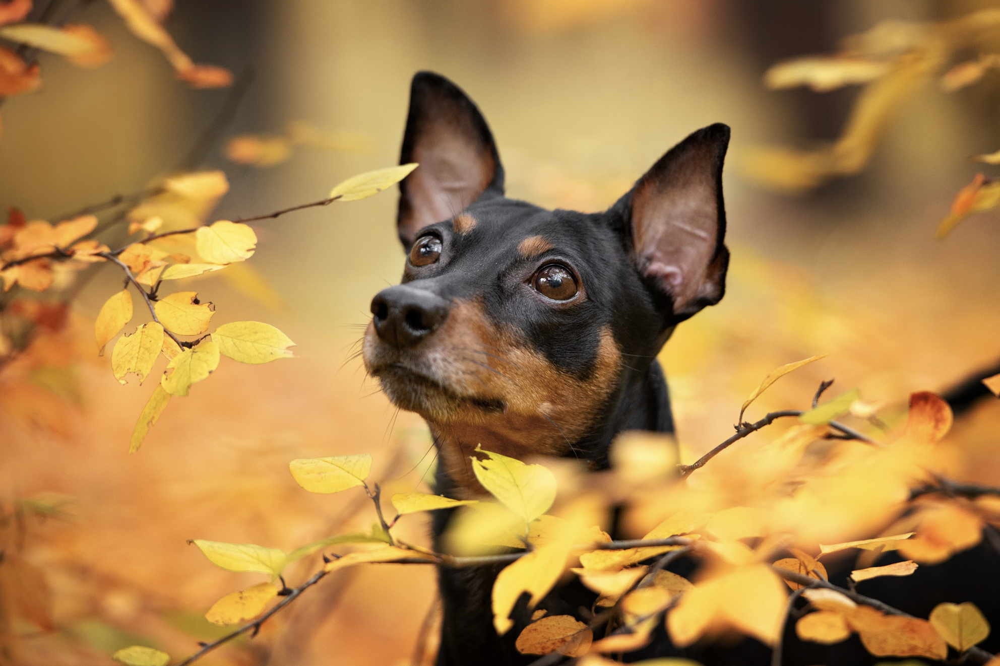 食で整えるメンタルケア──心を強くする「腸」の話