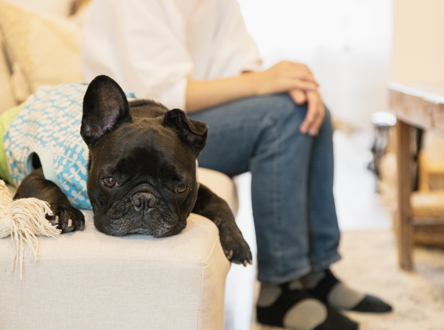 寒い季節こそ差が出る！冬のHUGBOX活用術｜温活・免疫ケアのコツ