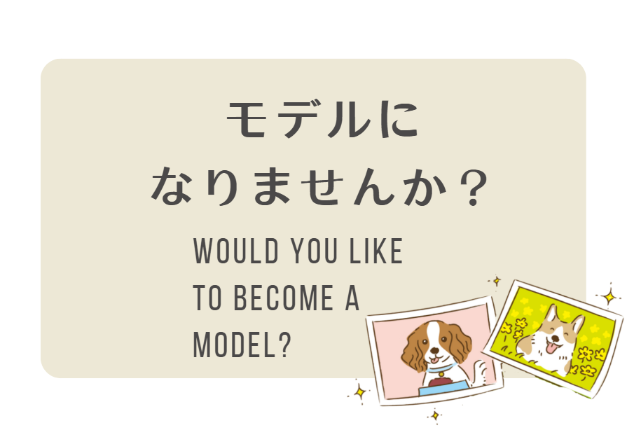 ハグボックスのお写真素材になってくれる子を大募集！！