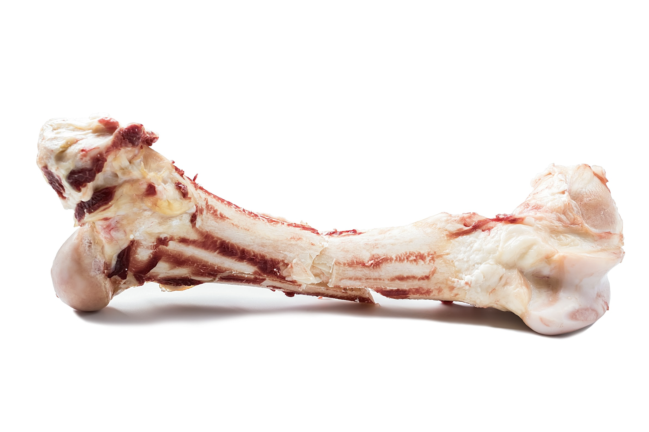 なぜ「生の骨」を入れているの？HUGBOXのごはんのちょっとした裏側