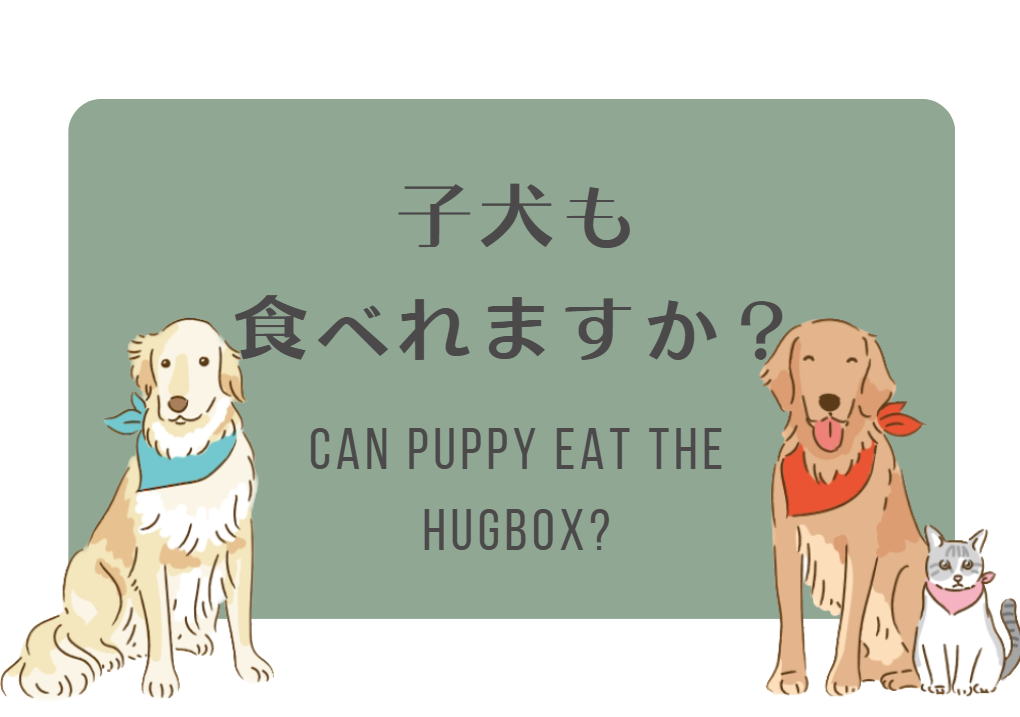 子犬への給餌と食事量ガイド｜HUGBOX（ハグボックス）で安心の生食育て