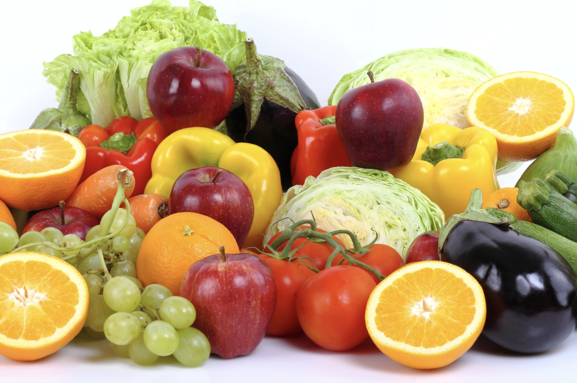 犬に与えてはいけない食材リスト｜科学的に見るNG・注意・条件付きOK食材まとめ