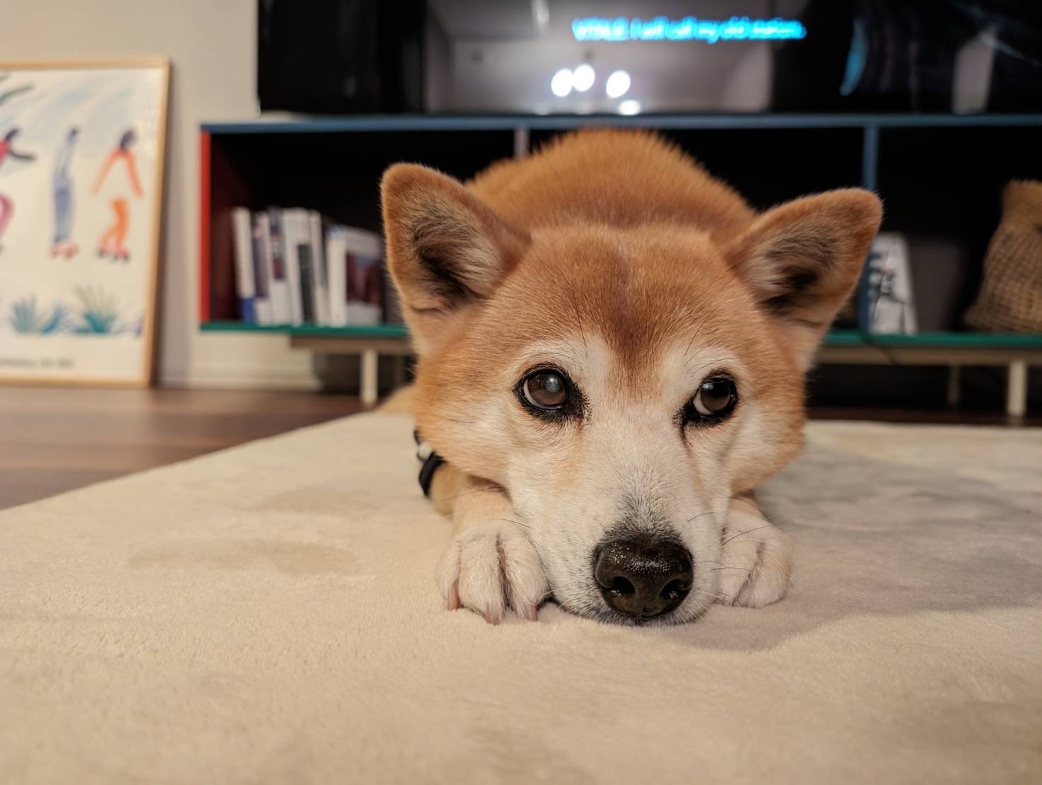 冬のお腹と、やさしく付き合う。HUGBOXの冬ごはんメモ