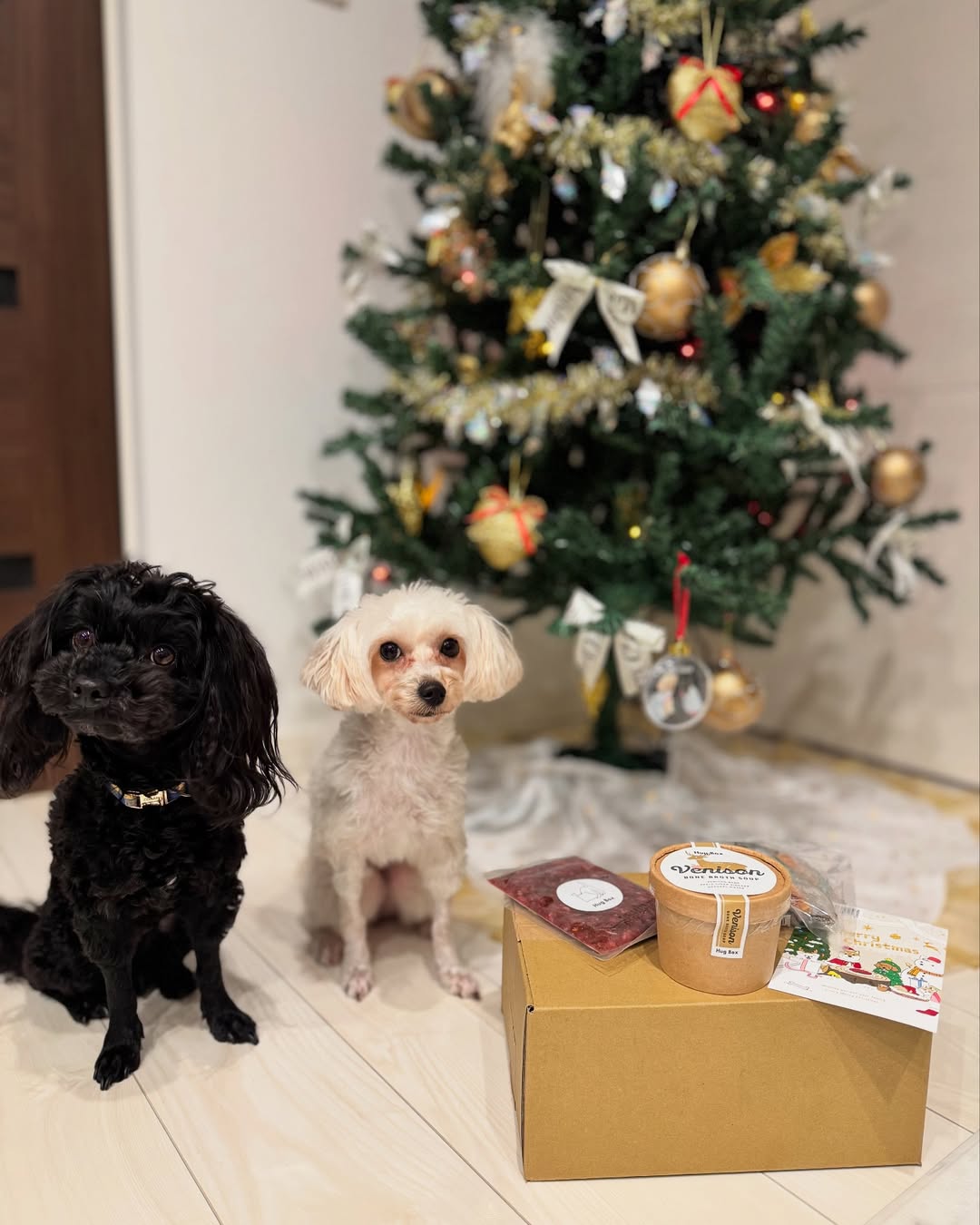 はじめてのHUGBOXギフト」｜迷ったら「丸どりスープ」｜犬・猫と暮らす人に贈る、日常で使えるやさしいごはん