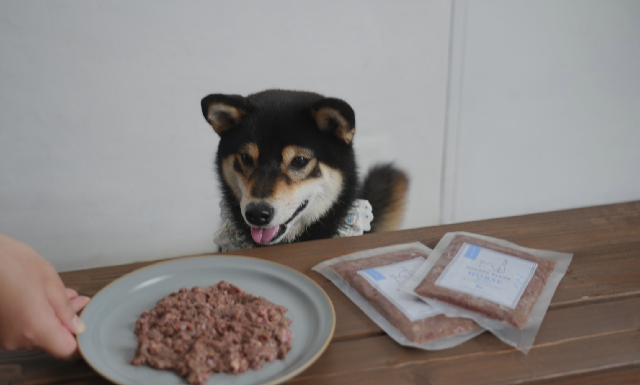 生肉ハグボックスブレンドをもっとおいしく！ 解凍のコツとタイミング