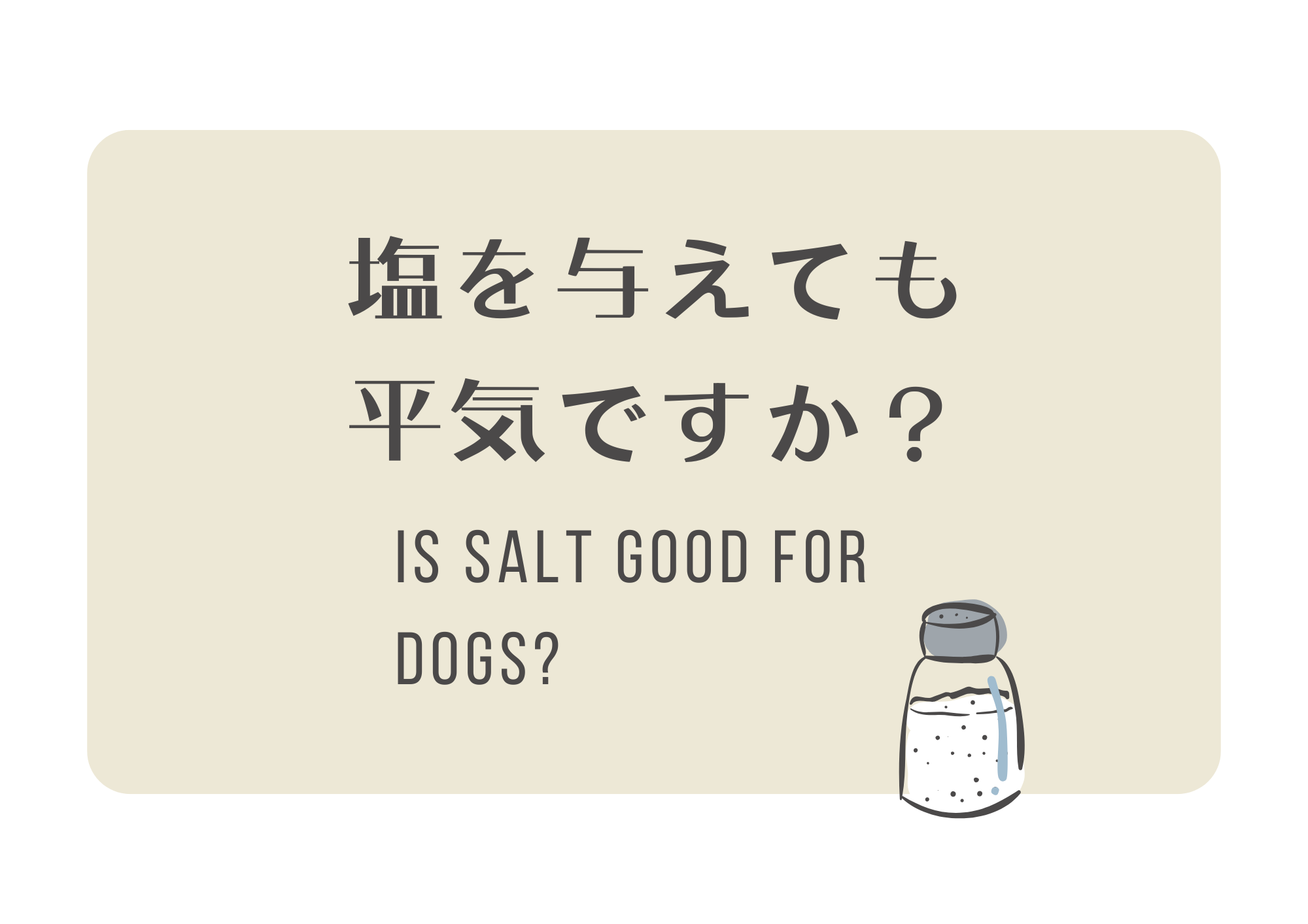 犬にも塩をあげていいの？