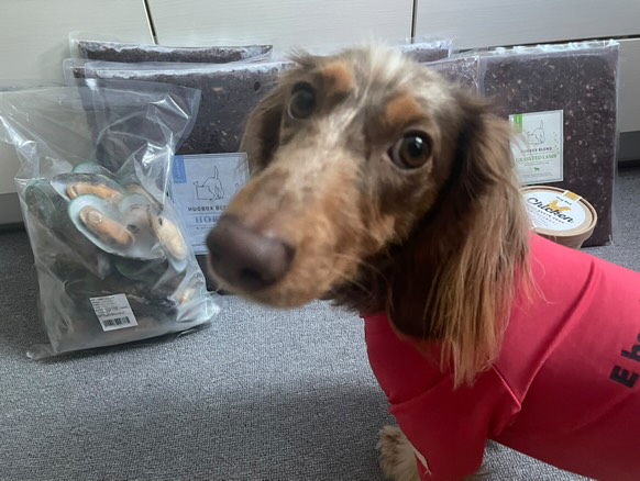 「アトピーとアレルギーに悩んだ凪くん。HUGBOX（ハグボックス）で薬に頼らない笑顔を取り戻した物語」