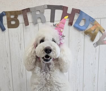 皮膚トラブルに悩んでいたくぅちゃんの体験談｜HUGBOX（ハグボックス）の生肉（生食）で感じた変化