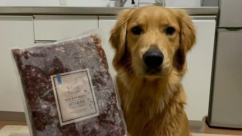 うんちのゆるさが改善！HUGBOX（ハグボックス）で健やかな毎日へ。レイくんの体験談