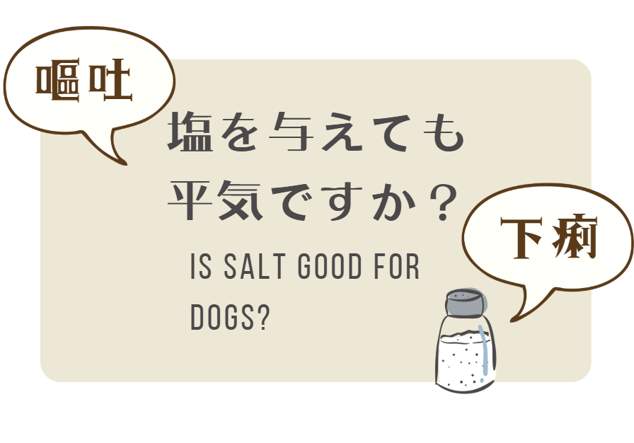 犬にも塩をあげていいの？