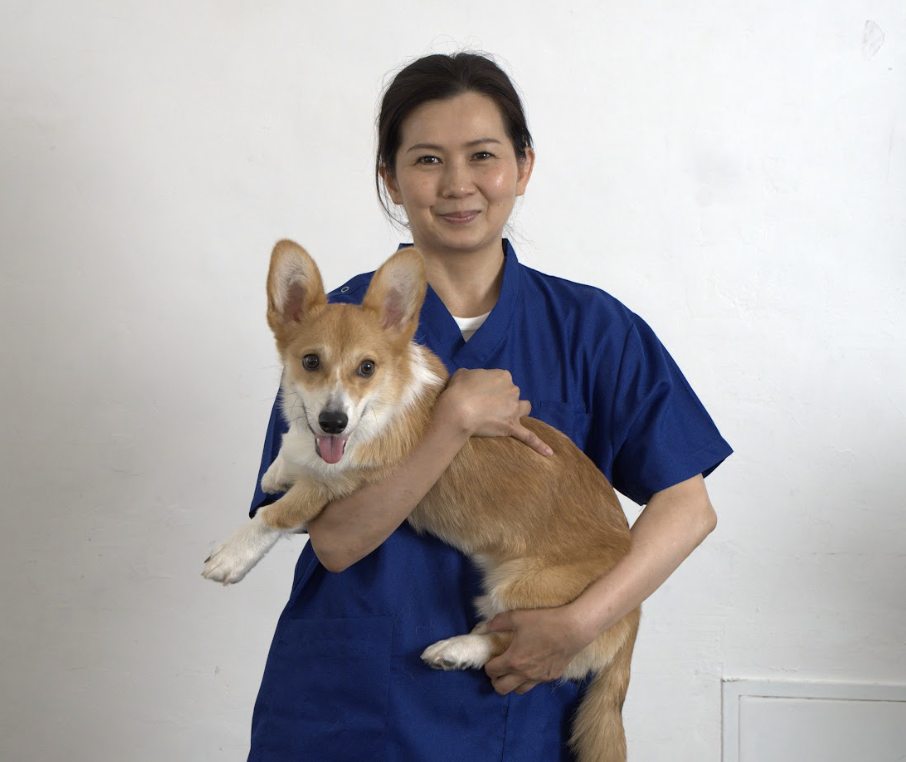 犬猫の健康は“毎日の食事”から｜獣医師（東洋医学）辻村衣里子先生が語るHUGBOXの価値