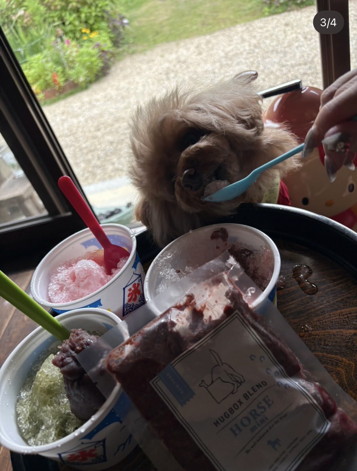 旅行や外出時の「冷凍保存＆持ち運び」完全ガイド｜HUGBOX（ハグボックス）