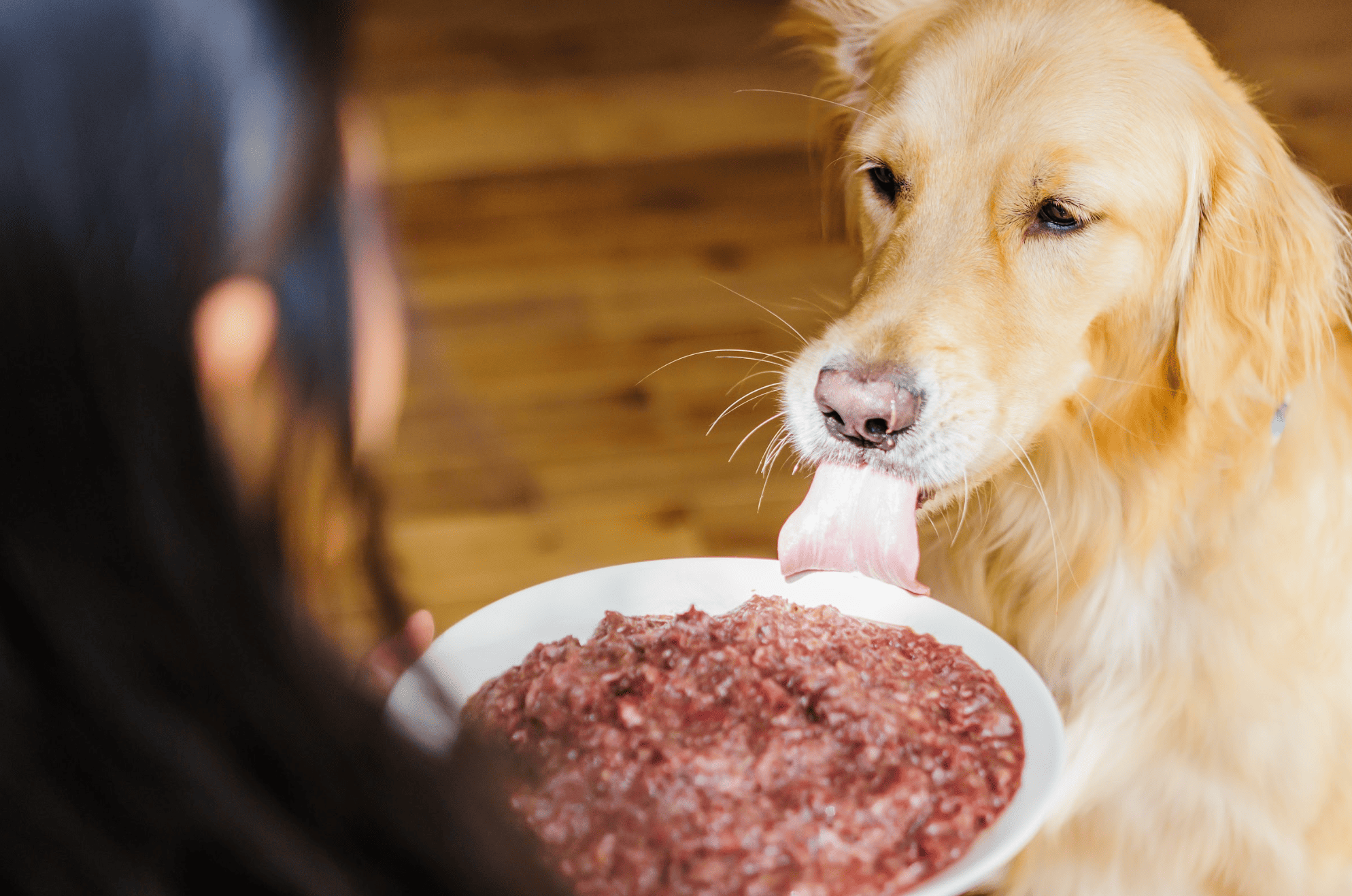 HUGBOXキッチンで生まれる、ていねいなごはん。 人の手と設備がつくる“安心のものづくり”