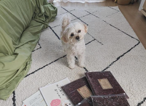 涙やけが気にならなくなった！HUGBOX(ハグボックス)で笑顔が増えた風羽ちゃんの体験談