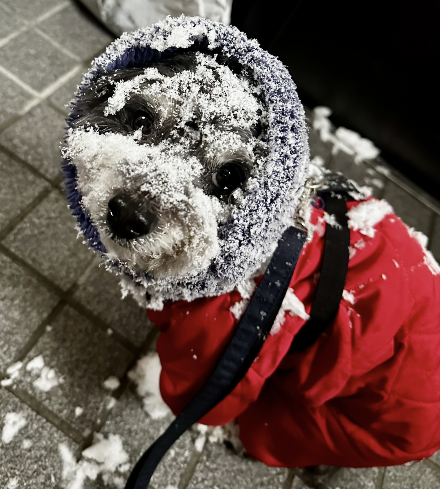 寒い季節は“食べる温活”を。HUGBOXでできる冬の体調ケア