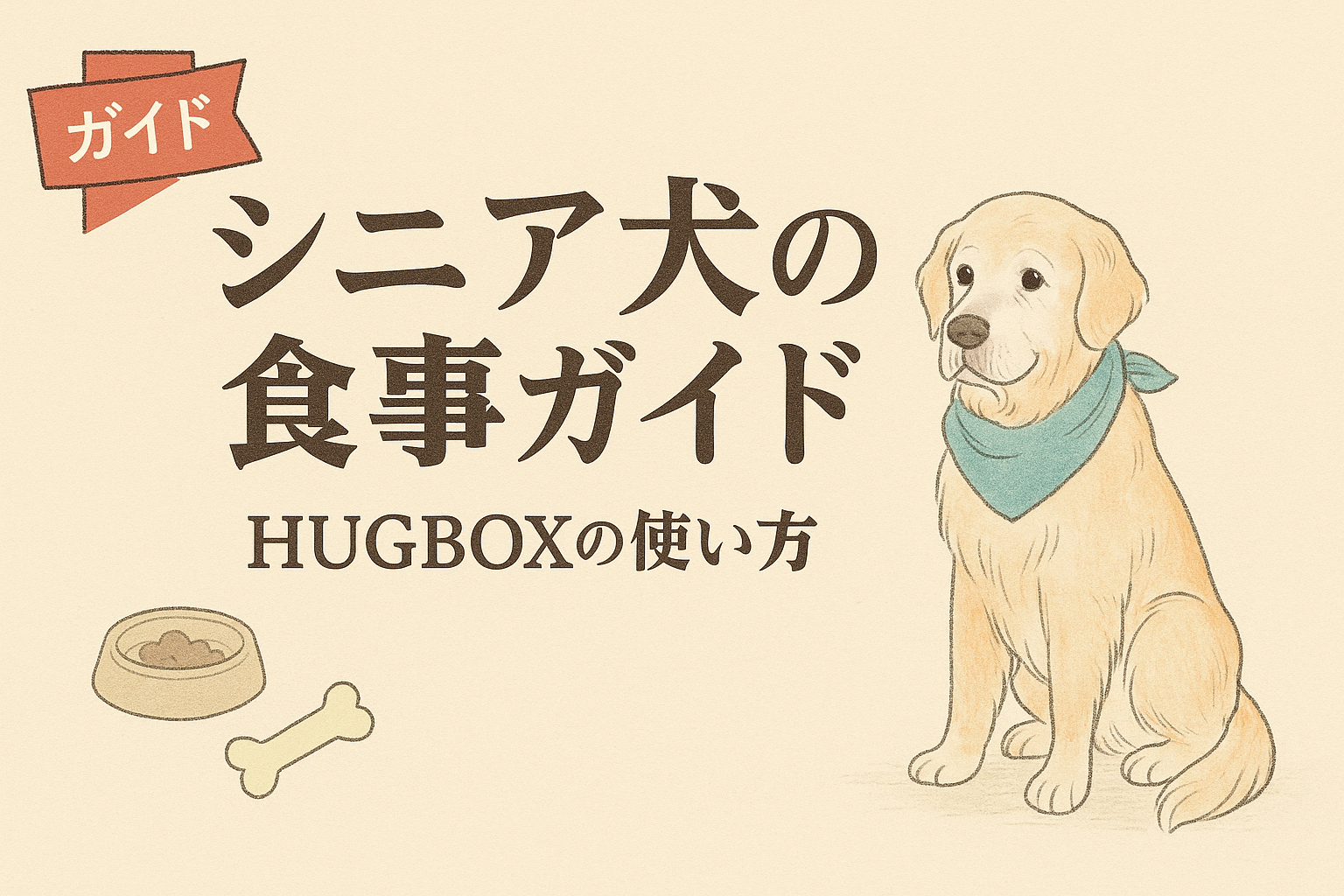 シニア犬の食事ガイド｜HUGBOX(ハグボックス)で安心して始める高齢期のごはん