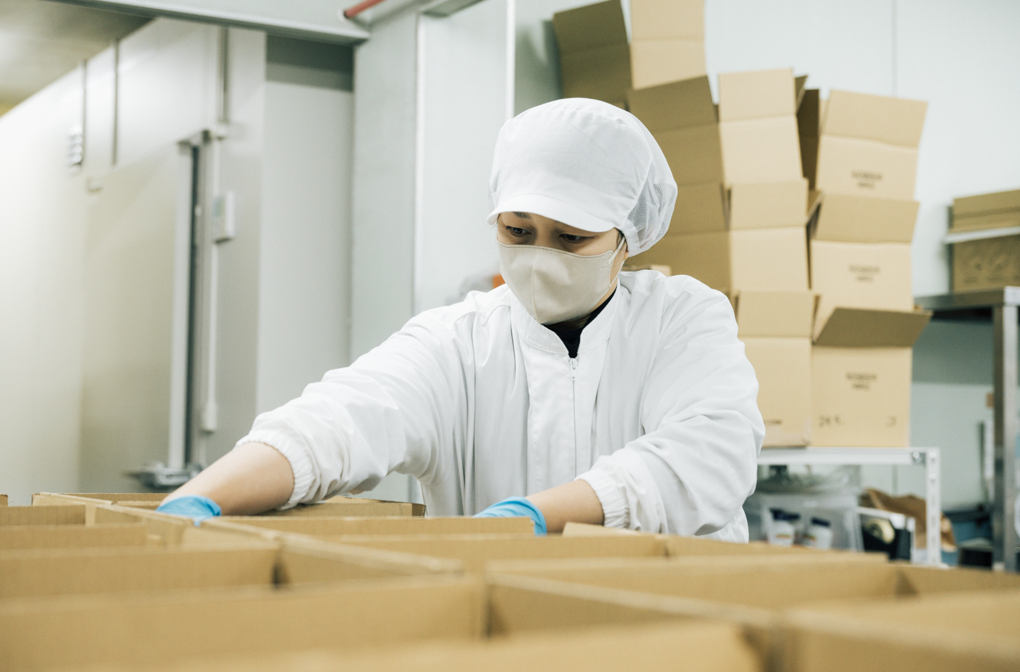 犬猫ファーストで生まれたHUGBOX｜わたしたちの変わらない約束